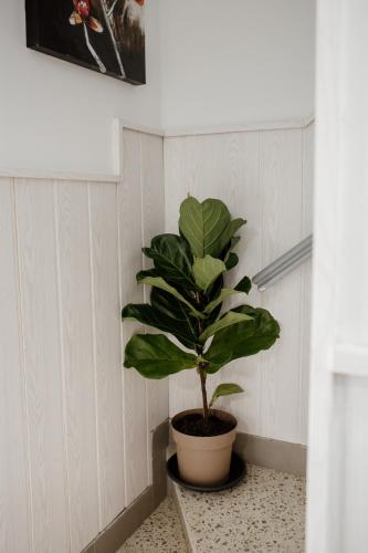 Apartamentos Turisticos Mastil 16