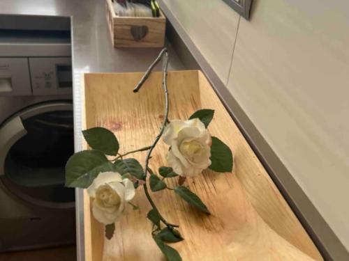 Apartamento Nana en Granada, Granada (fotografie 8)