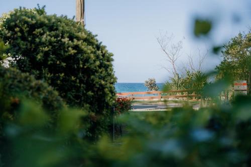 Bilinga Breeze 7 in Bilinga