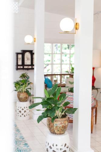 บริการและสิ่งอำนวยความสะดวก, Hotel Aguas Claras in ปลายาโกเกลส