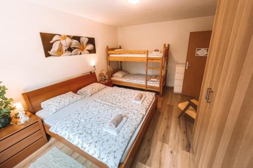 Apartment with Atrium Anabela, Tolmin (foto 8)