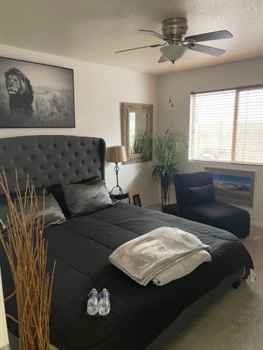 Room and ride Airbnb