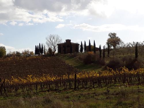 Foto - Podere Pievina Delle Corti - Dimora di Campagna