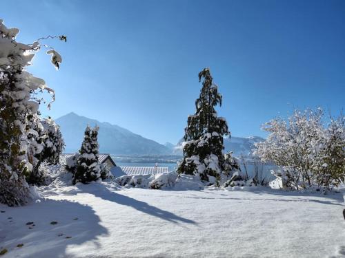 Lakeview apartment in beautiful Oberhofen