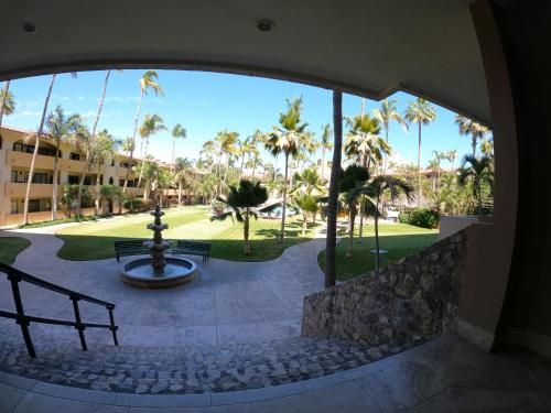 Marina Sol in Cabo San Lucas, Mexico