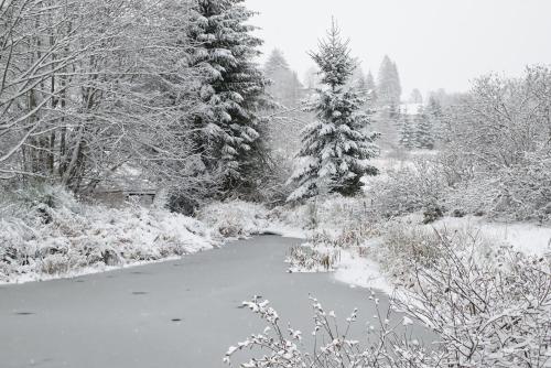 Apkārtne, ROULOTTE DU PERE NOEL in Ban-sur-Meurthe-Clefcy