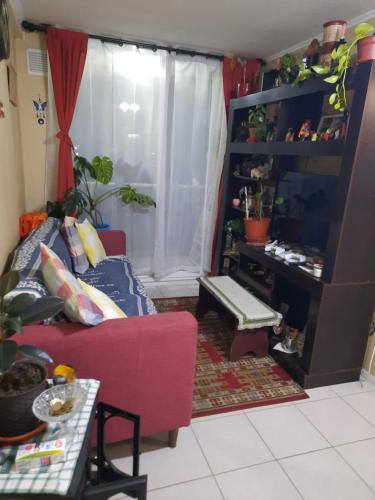 Comparto Depto. en La Cisterna ( hermoso y cómodo, cómo en casa)