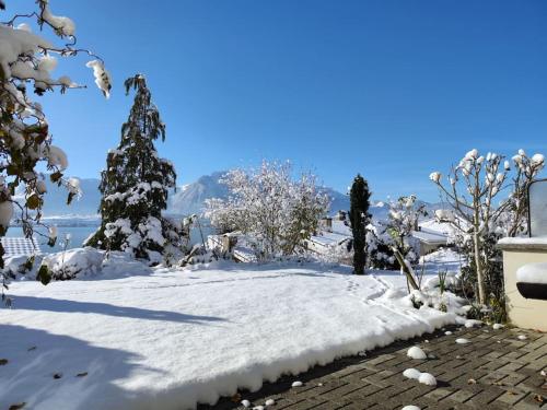 Lakeview apartment in beautiful Oberhofen