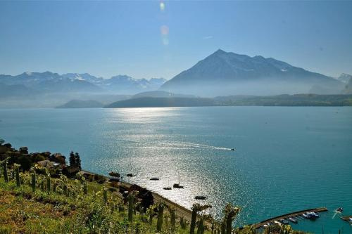 Lakeview apartment in beautiful Oberhofen