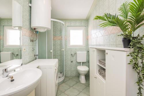 Apartments Loncar - Vir