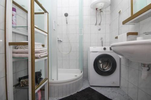 One-Bedroom Apartment image 4