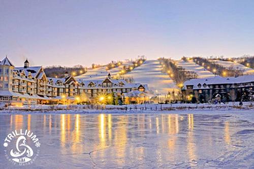 Steps to the Hill 1 Bedroom CraveTV in The Blue Mountains (ON)