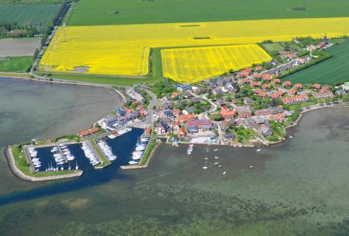 Ort Lemkenhafen Mowe in Lemkenhafen
