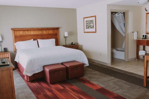 Hampton Inn & Suites Green River in Green River (WY)