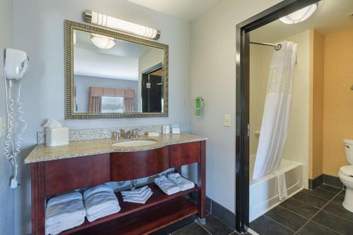 Hampton Inn & Suites Indianapolis/Brownsburg, IN Room Type - King Studio Suite with Sofa Bed - Non-Smoking