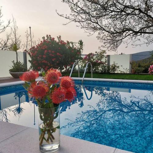 Villa with 5 bedrooms in Agueda with wonderful mountain view private pool enclosed garden 45 km from the beach - image 5