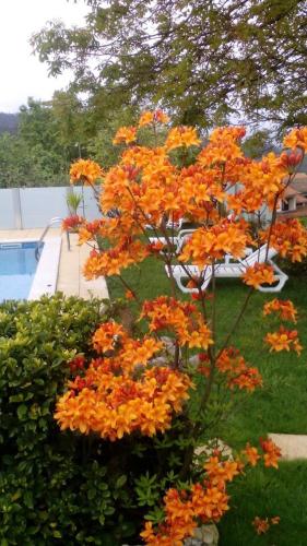Villa with 5 bedrooms in Agueda with wonderful mountain view private pool enclosed garden 45 km from the beach - image 4