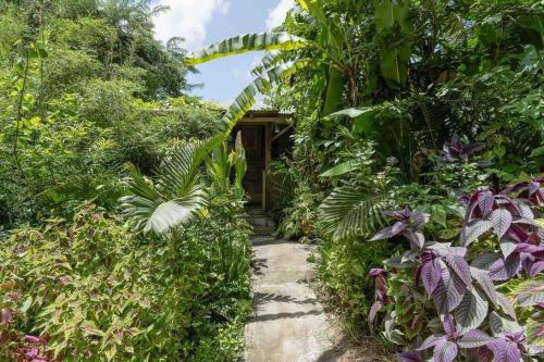 Sizo Treehouse Cottage in Saint George