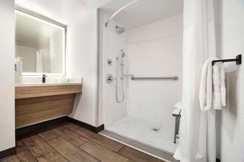 King Room with Roll-In Shower - Mobility Accessible