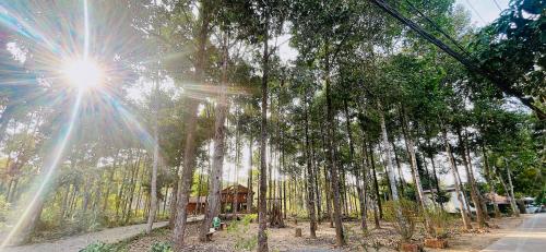 Forest Side ecolodge