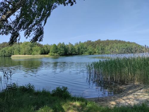 Widny Jaś zaprasza na pięciobój równoczesny