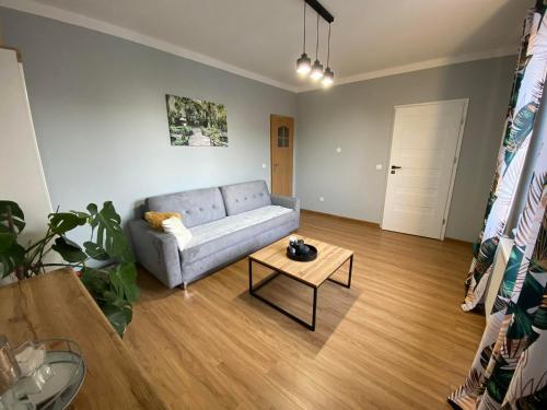 DREW BUD Spółka z o.o. Artur i Monika Oleksiuk (DREW BUD Spolka z o.o. Artur i Monika Oleksiuk) in 卡利舒波莫爾斯基