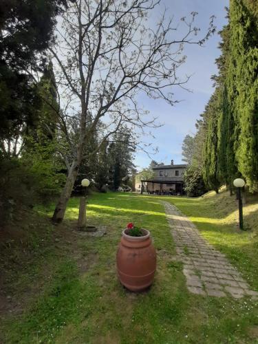 agriturismo il Borgo - Hotel - Cetona