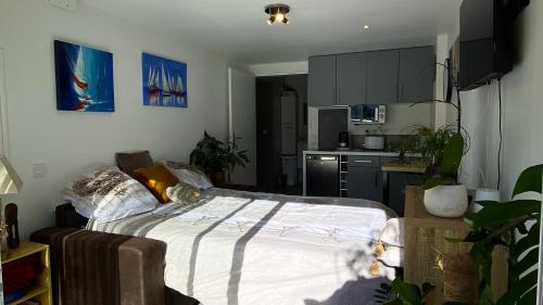 studio lumineux climatisé petit jardin et parking, Perpignan (fotografie 5)