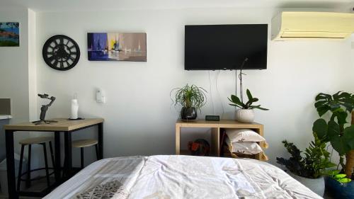 studio lumineux climatisé petit jardin et parking, Perpignan (fotografie 8)