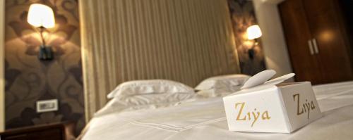 Hotel Ziya