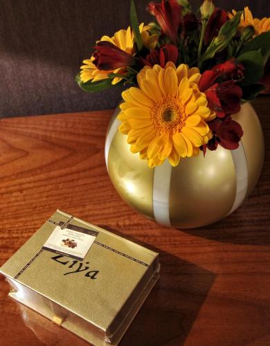 Hotel Ziya