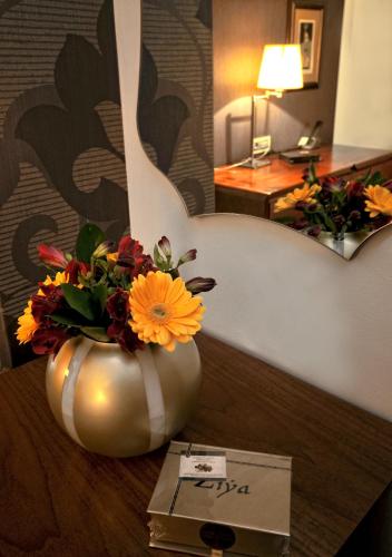 Hotel Ziya