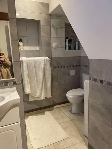 淋浴間, Duplex à la campagne (Duplex a la campagne) in 弗爾芒通