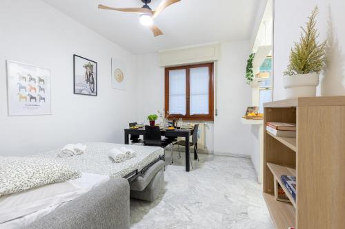 Pisa Bright and Modern apartment x4