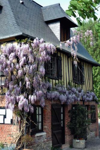 . AUBERGE DU VAL AU CESNE