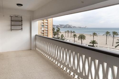 Lider, 4-D, Cullera (foto 4)