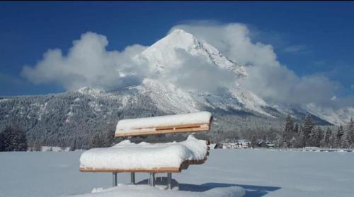 Alpenchalet im Leutaschtal