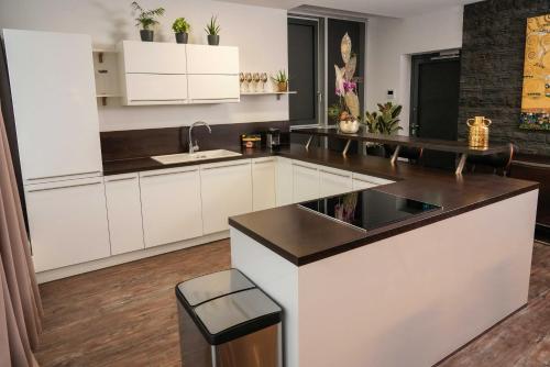 Apartment Leipzig Waldstraßenviertel Loft Terrasse, RedBull Arena, Lipsia (foto 9)