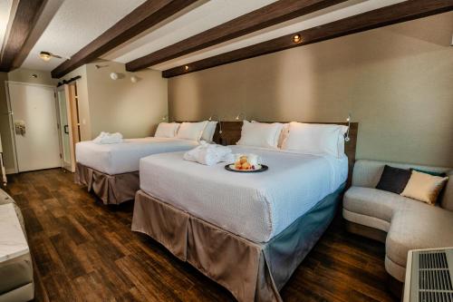2 queen beds