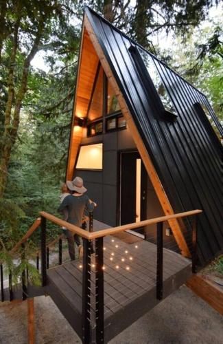 The Treeframe Cabin