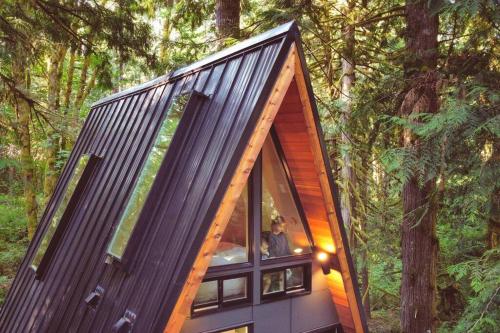 The Treeframe Cabin