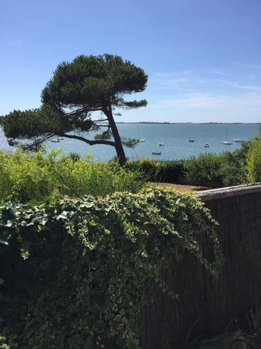 Meublé sur l'ILE DE TASCON à 300 m de la plage (Meuble sur l'ILE DE TASCON a 300 m de la plage) in Senarmela