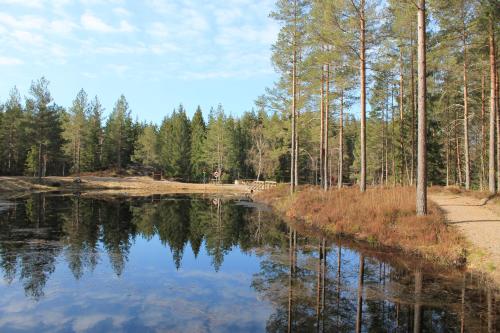 Tuvākā izklaides vieta, Fårgården Åsebol (Fargarden Asebol) in Asebolet
