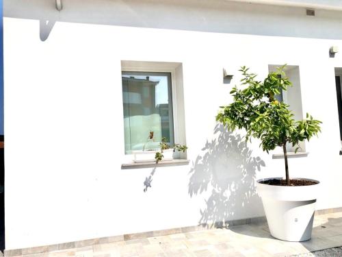 Chalet al mare gîte à louer Marotta