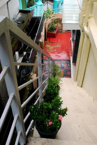 Hornbill inn photo 5