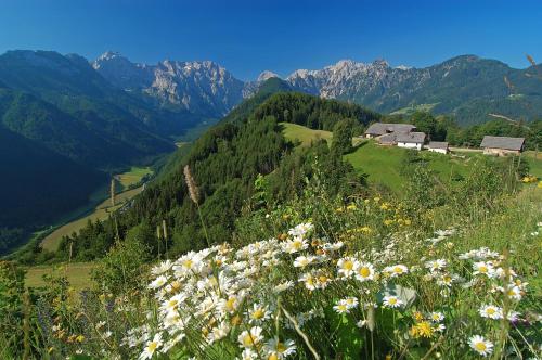 Prenočišča Valentina - image 13