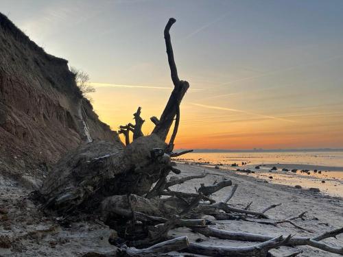 Laboe & Probstei erleben