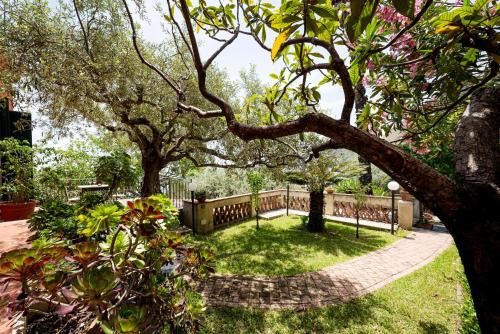 Suite with Terrace and partial Sea View room in Villa degli Ulivi