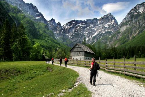 Prenočišča Valentina - image 7