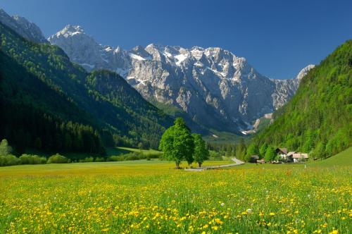Prenočišča Valentina - image 10
